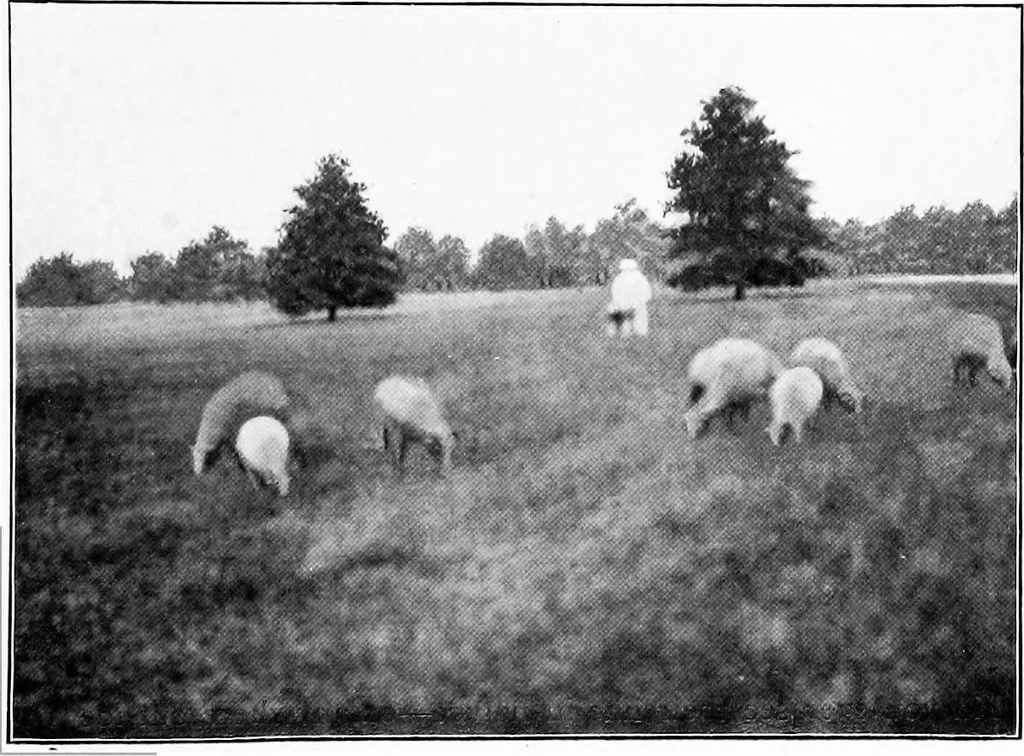 An illustration from Report of Charles Mulford Robinson for Fort Wayne Civic Improvement Association, 1910, leaf 80