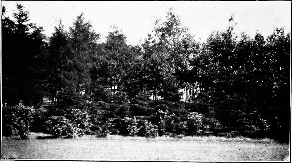 An illustration from Report of Charles Mulford Robinson for Fort Wayne Civic Improvement Association, 1910, leaf 83