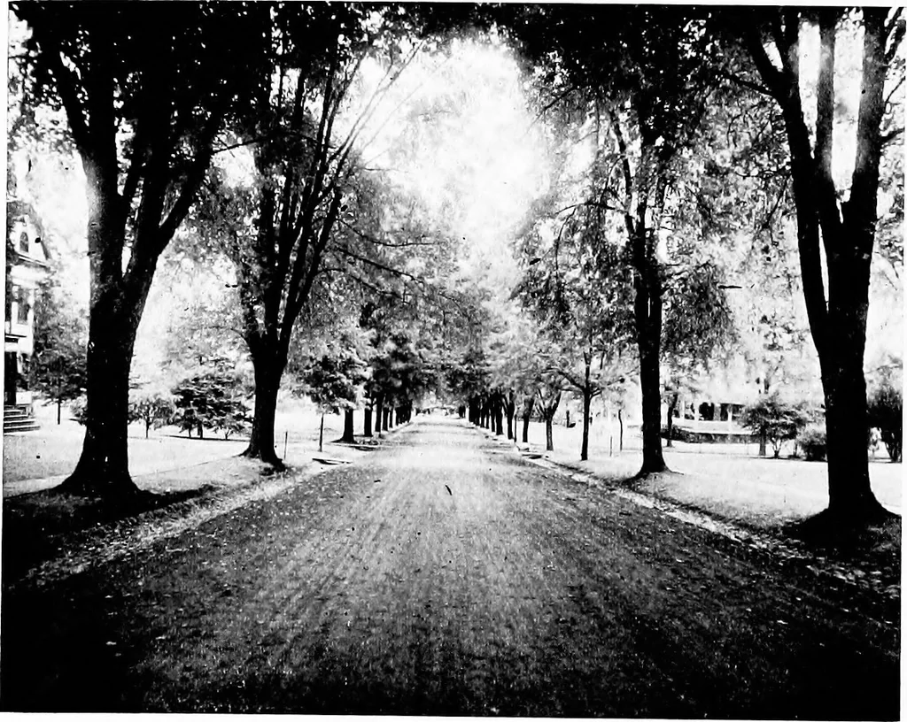 An illustration from Glen Ridge : the preservation of its natural beauty and its improvement as a place of residence, 1909, leaf 21