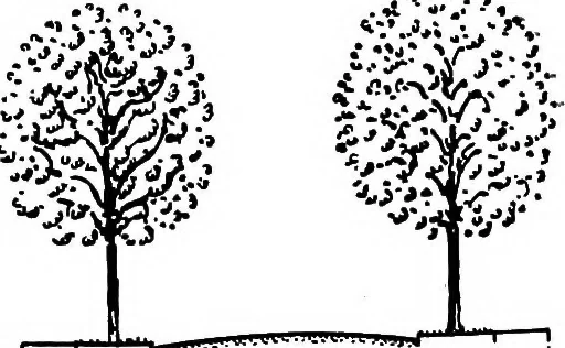 An illustration from Glen Ridge : the preservation of its natural beauty and its improvement as a place of residence, 1909, leaf 25