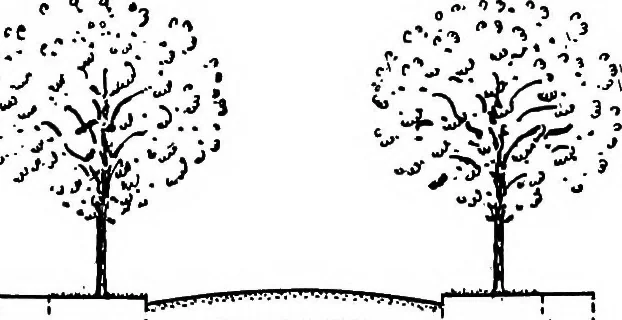 An illustration from Glen Ridge : the preservation of its natural beauty and its improvement as a place of residence, 1909, leaf 25