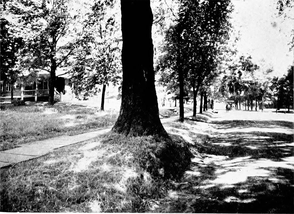 An illustration from Glen Ridge : the preservation of its natural beauty and its improvement as a place of residence, 1909, leaf 27