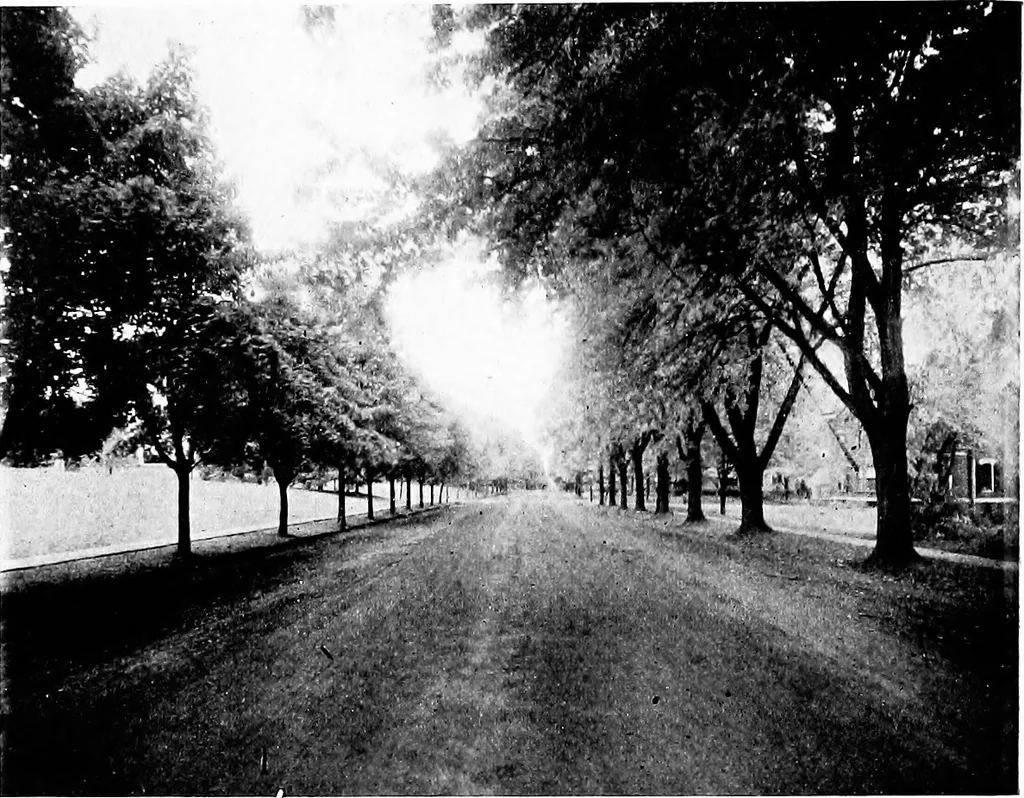 An illustration from Glen Ridge : the preservation of its natural beauty and its improvement as a place of residence, 1909, leaf 29