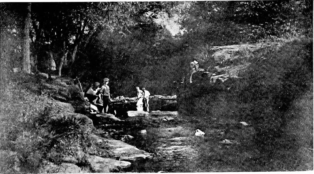 An illustration from Glen Ridge : the preservation of its natural beauty and its improvement as a place of residence, 1909, leaf 37
