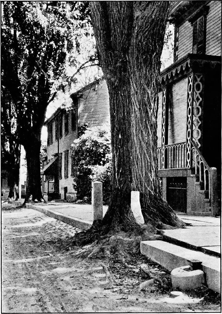 An illustration from Proposed improvements for Newport;, 1913, leaf 34