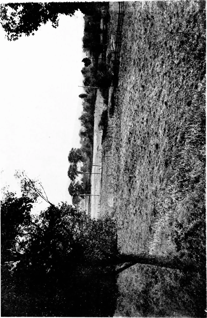 An illustration from Report of the Committee on Improving and Beautifying Utica of the Utica Chamber of Commerce, 1908, leaf 39