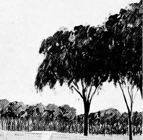 An illustration from The development of Washington with special reference to the Lincoln memorial, 1911, leaf 21