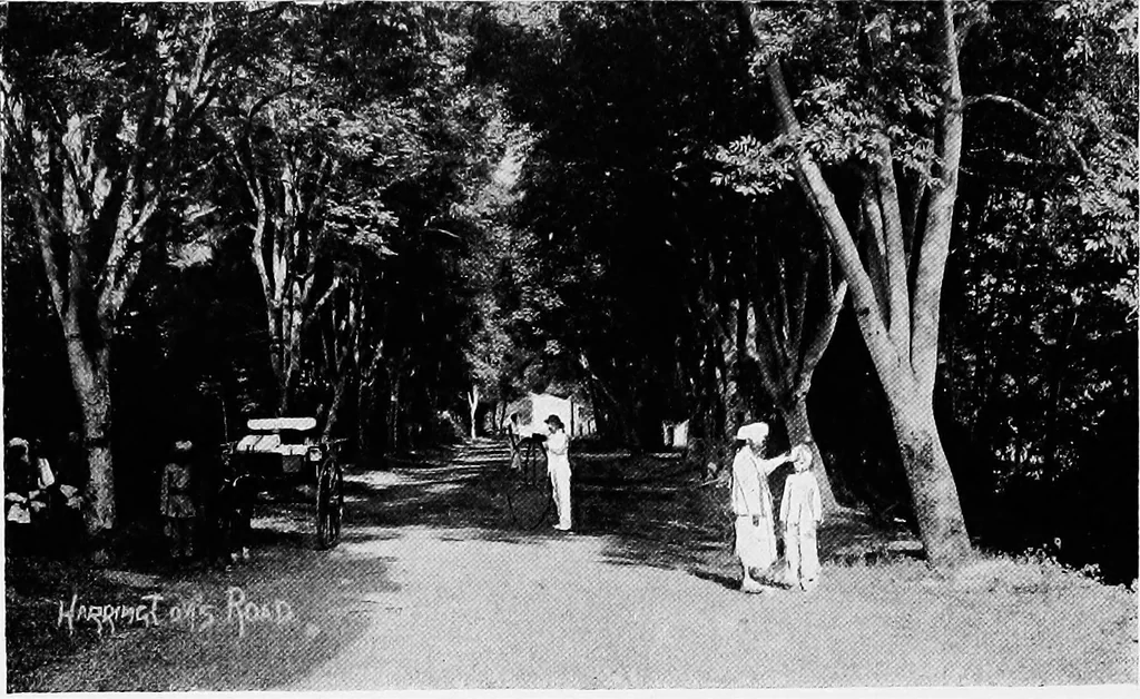 An illustration from Town planning in Madras : a review of the conditions and requirements of city improvement and development in the Madras Presidency, 1918, leaf 77