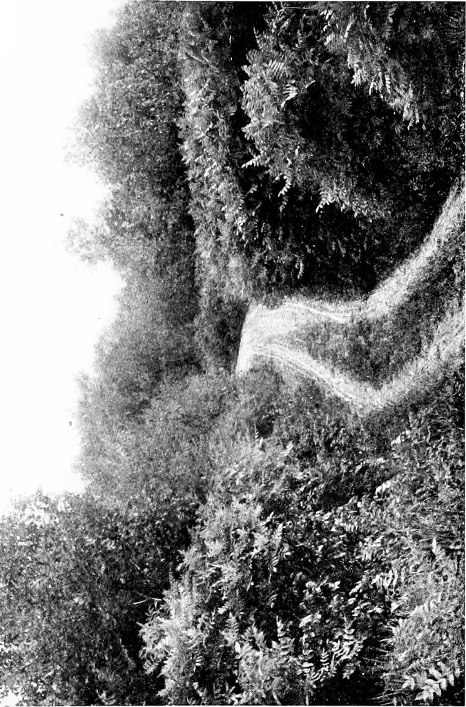 An illustration from Modern civic art; or, The city made beautiful, 1918, leaf 382
