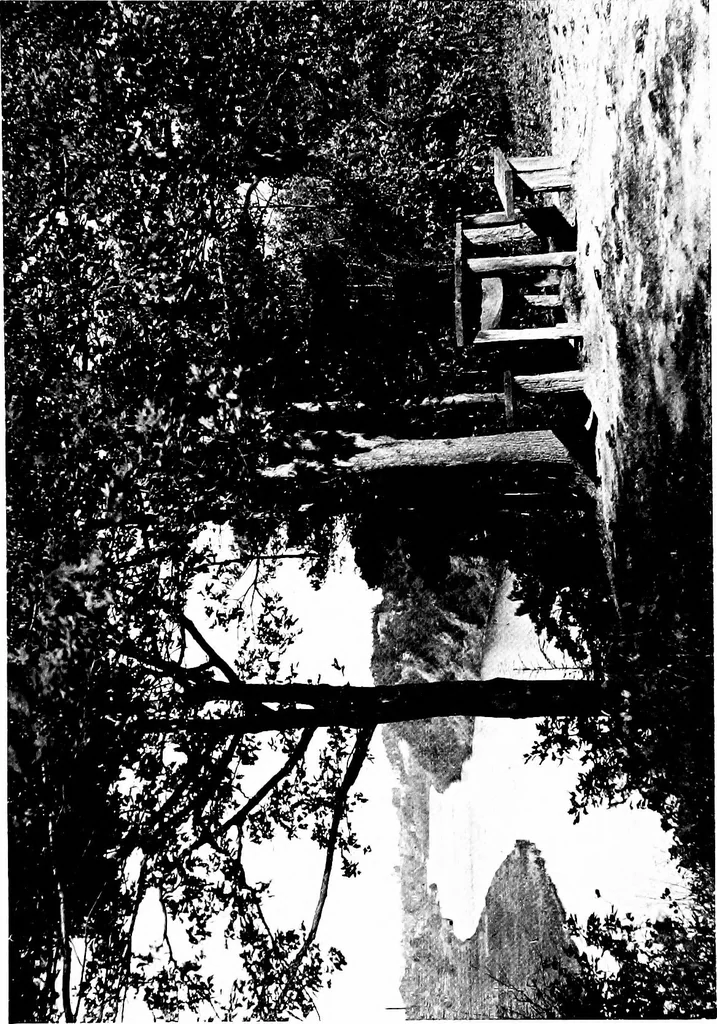 An illustration from Modern civic art; or, The city made beautiful, 1918, leaf 394