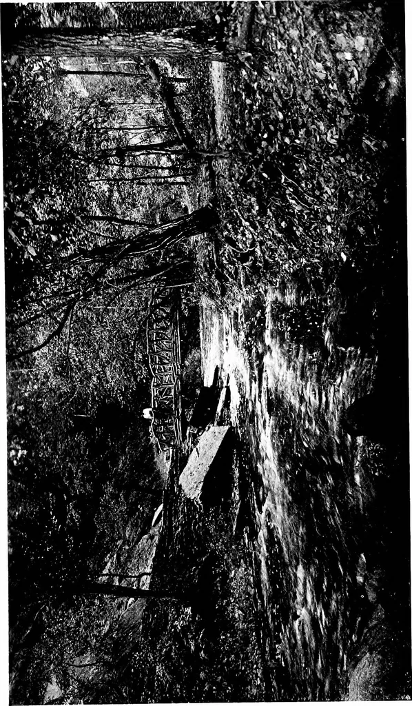 An illustration from Modern civic art; or, The city made beautiful, 1918, leaf 414