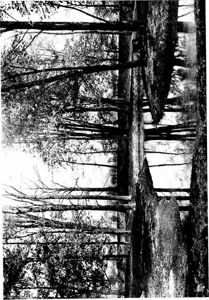 An illustration from Modern civic art; or, The city made beautiful, 1918, leaf 422