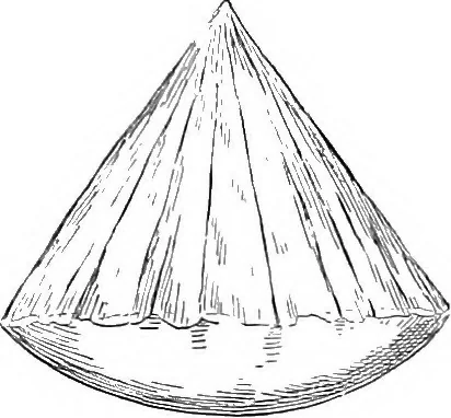 An illustration from Papers on mechanical and physical subjects, 1900, leaf 232