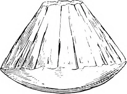 An illustration from Papers on mechanical and physical subjects, 1900, leaf 233