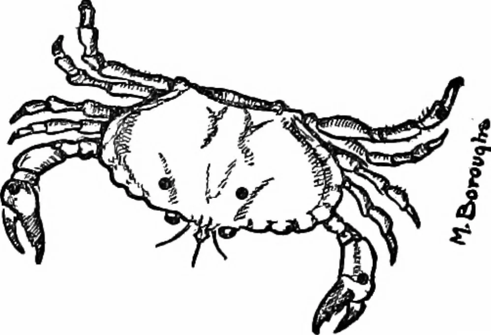 An illustration from The stars and their stories; a book for young people, 1913, leaf 166