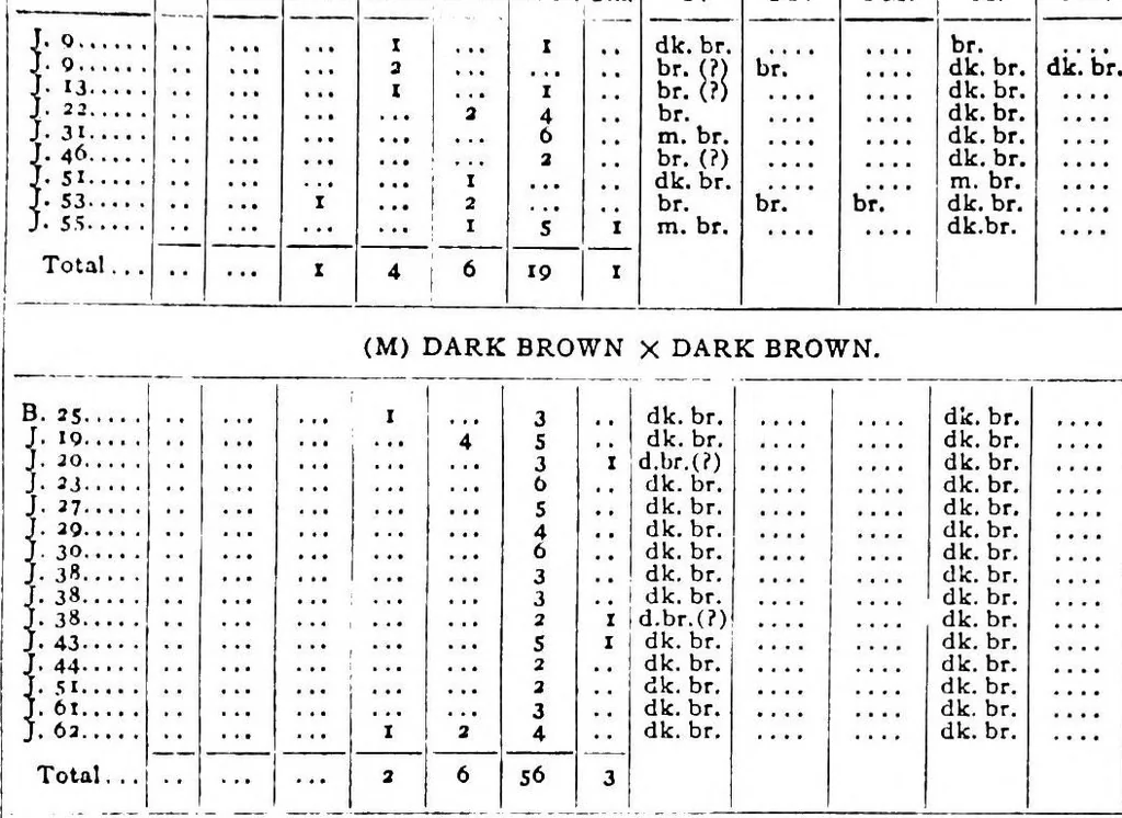 An illustration from Heredity of skin color in negro-white crosses, 1913, leaf 54