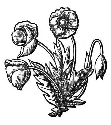 An illustration from Notices illustrative of the drama, and other popular amusements, chiefly in the sixteenth and seventeenth centuries, incidentally illustrating Shakespeare and his contemporaries; extracted from the chamberlains' accounts and other manuscripts of the borough of Leicester, 1865, leaf 289