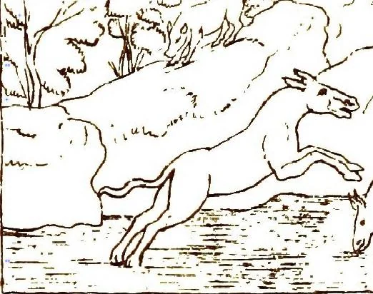 An illustration from Myths of the Odyssey in art and literature, 1882, leaf 194