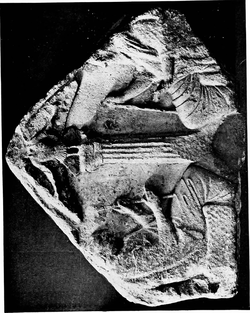 An illustration from Apotheosis and after life : three lectures on certain phases of art and religion in the Roman Empire, 1915, leaf 212
