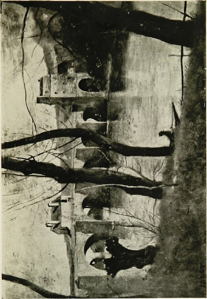 An illustration from A wanderer in Paris, 1921, leaf 344