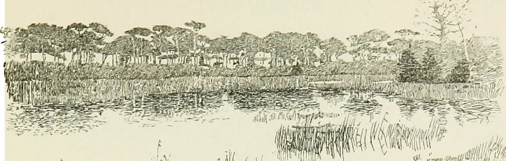 An illustration from Ravenna, a study, 1913, leaf 309