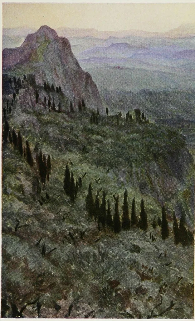 An illustration from Assisi : impressions of half a century, 1919, leaf 7