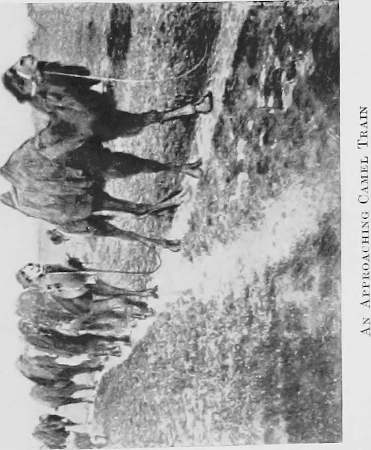 An illustration from Persia past and present; a book of travel and research, with more than two hundred illustrations and a map, 1906, leaf 224