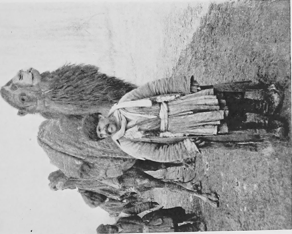 An illustration from Persia past and present; a book of travel and research, with more than two hundred illustrations and a map, 1906, leaf 244