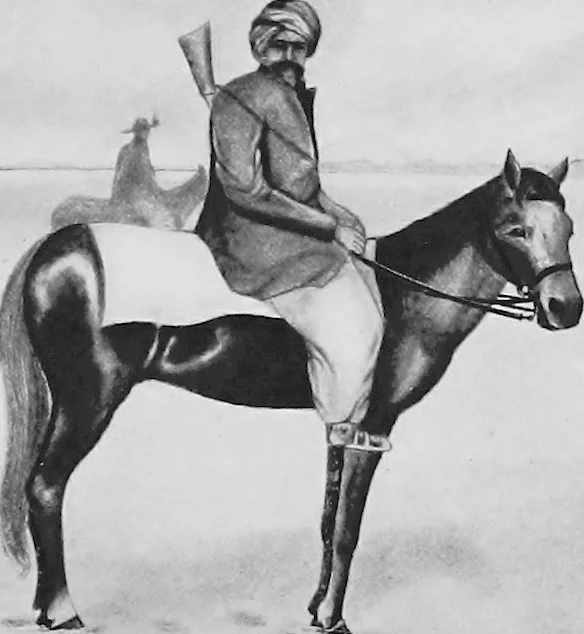 An illustration from Persia past and present; a book of travel and research, with more than two hundred illustrations and a map, 1906, leaf 248
