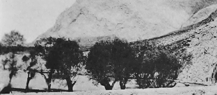 An illustration from Persia past and present; a book of travel and research, with more than two hundred illustrations and a map, 1906, leaf 396