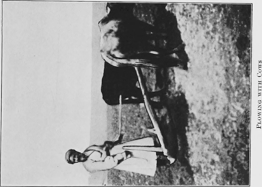 An illustration from Persia past and present; a book of travel and research, with more than two hundred illustrations and a map, 1906, leaf 432