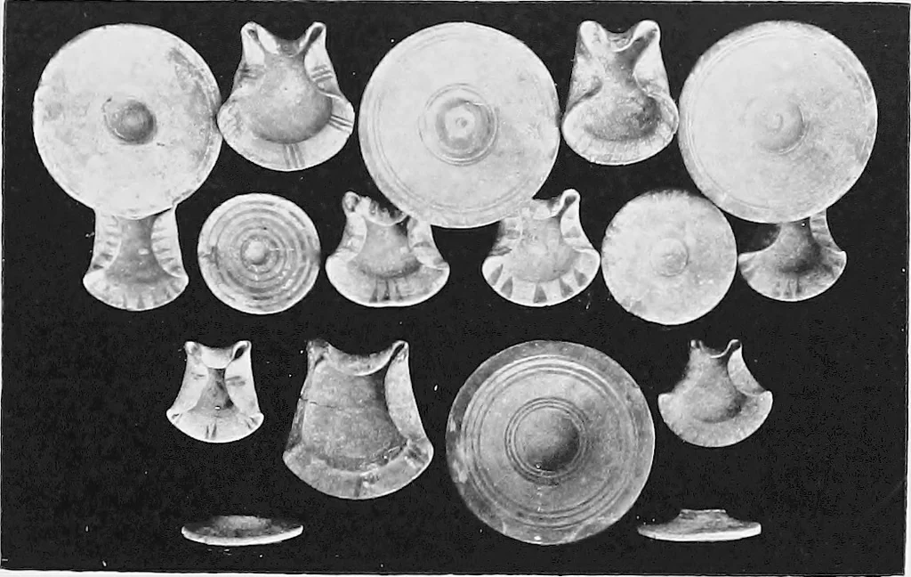 An illustration from Carthage of the Phoenicians in the light of modern excavation, 1905, leaf 96
