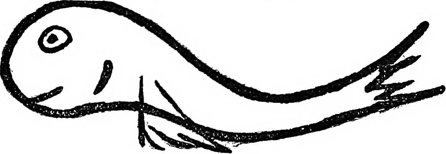 An illustration from The widow's mite and other psychic phenomena, 1904, leaf 320