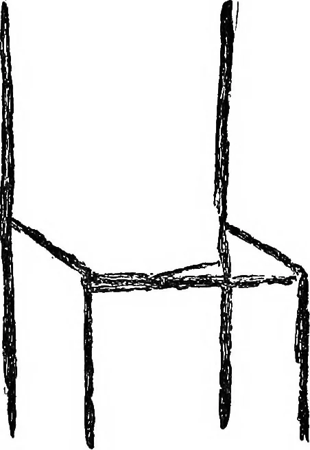 An illustration from The widow's mite and other psychic phenomena, 1904, leaf 325