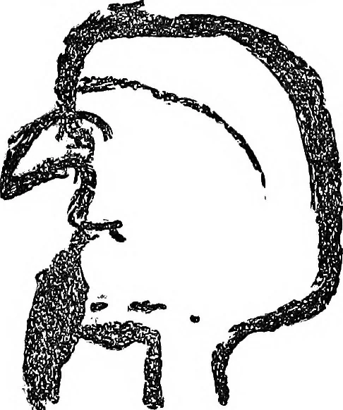 An illustration from The widow's mite and other psychic phenomena, 1904, leaf 326