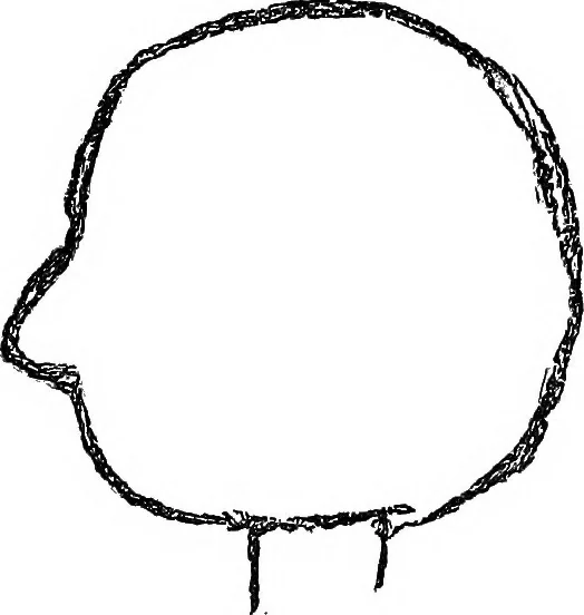 An illustration from The widow's mite and other psychic phenomena, 1904, leaf 326