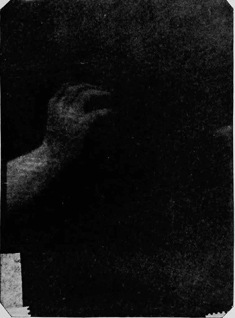 An illustration from The widow's mite and other psychic phenomena, 1904, leaf 494