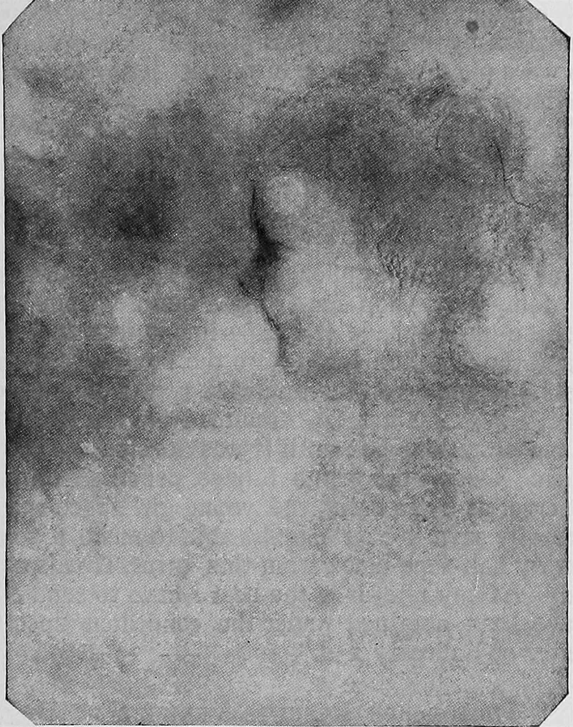 An illustration from The widow's mite and other psychic phenomena, 1904, leaf 496