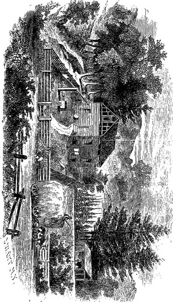 An illustration from The magic staff; an autobiography of Andrew Jackson Davis .., 1867, leaf 36
