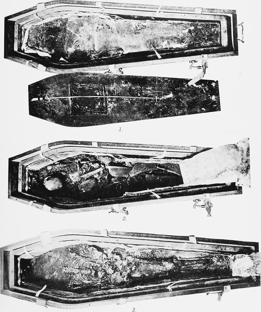 An illustration from The mortal remains of Emanuel Swedenborg; an account of the historical and anatomical investigations executed by a committee, appointed on May 27th, 1908, 1910, leaf 110