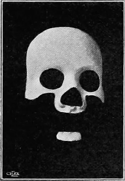 An illustration from The mortal remains of Emanuel Swedenborg; an account of the historical and anatomical investigations executed by a committee, appointed on May 27th, 1908, 1910, leaf 72