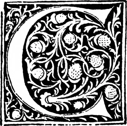An illustration from The early printers of Spain and Portugal, 1897, leaf 192