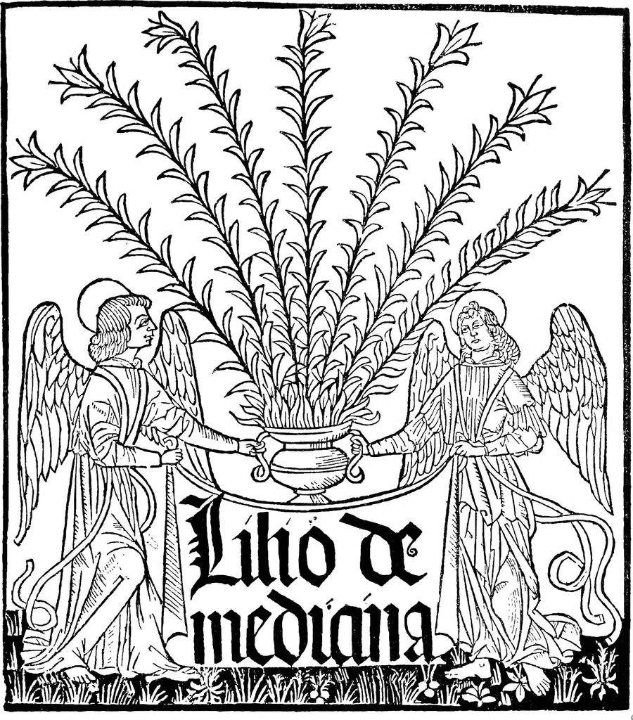 An illustration from The early printers of Spain and Portugal, 1897, leaf 216