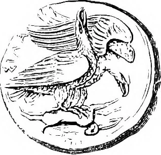 An illustration from A guide to the Department of coins and medals in the British museum, 1922, leaf 23