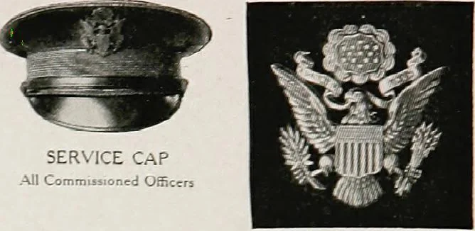 An illustration from Flags of the world, 1917, leaf 141