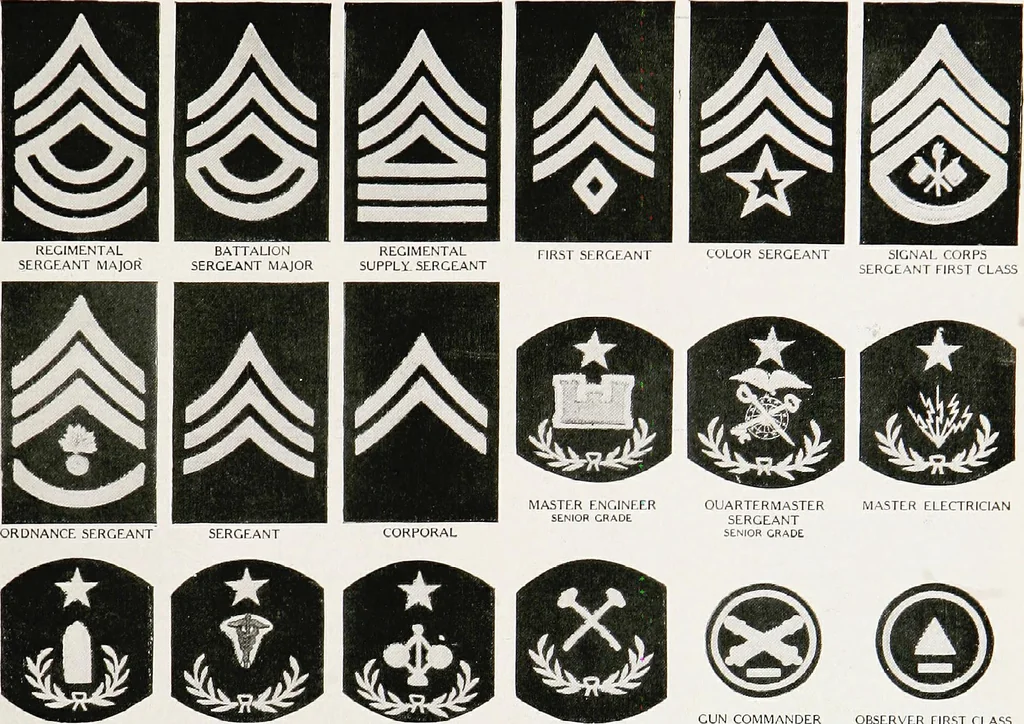 An illustration from Flags of the world, 1917, leaf 142