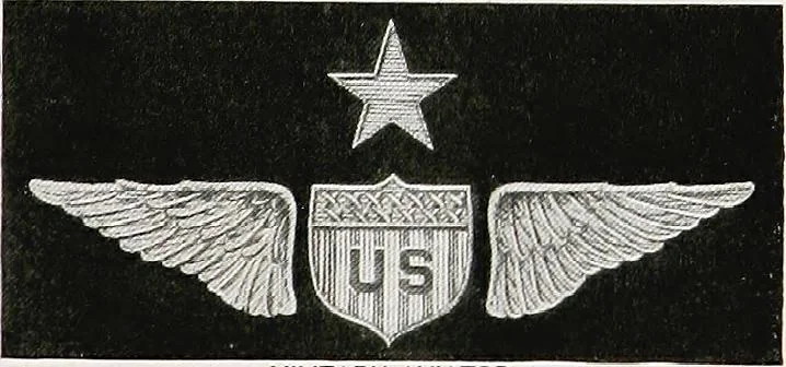 An illustration from Flags of the world, 1917, leaf 142