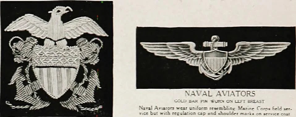 An illustration from Flags of the world, 1917, leaf 143