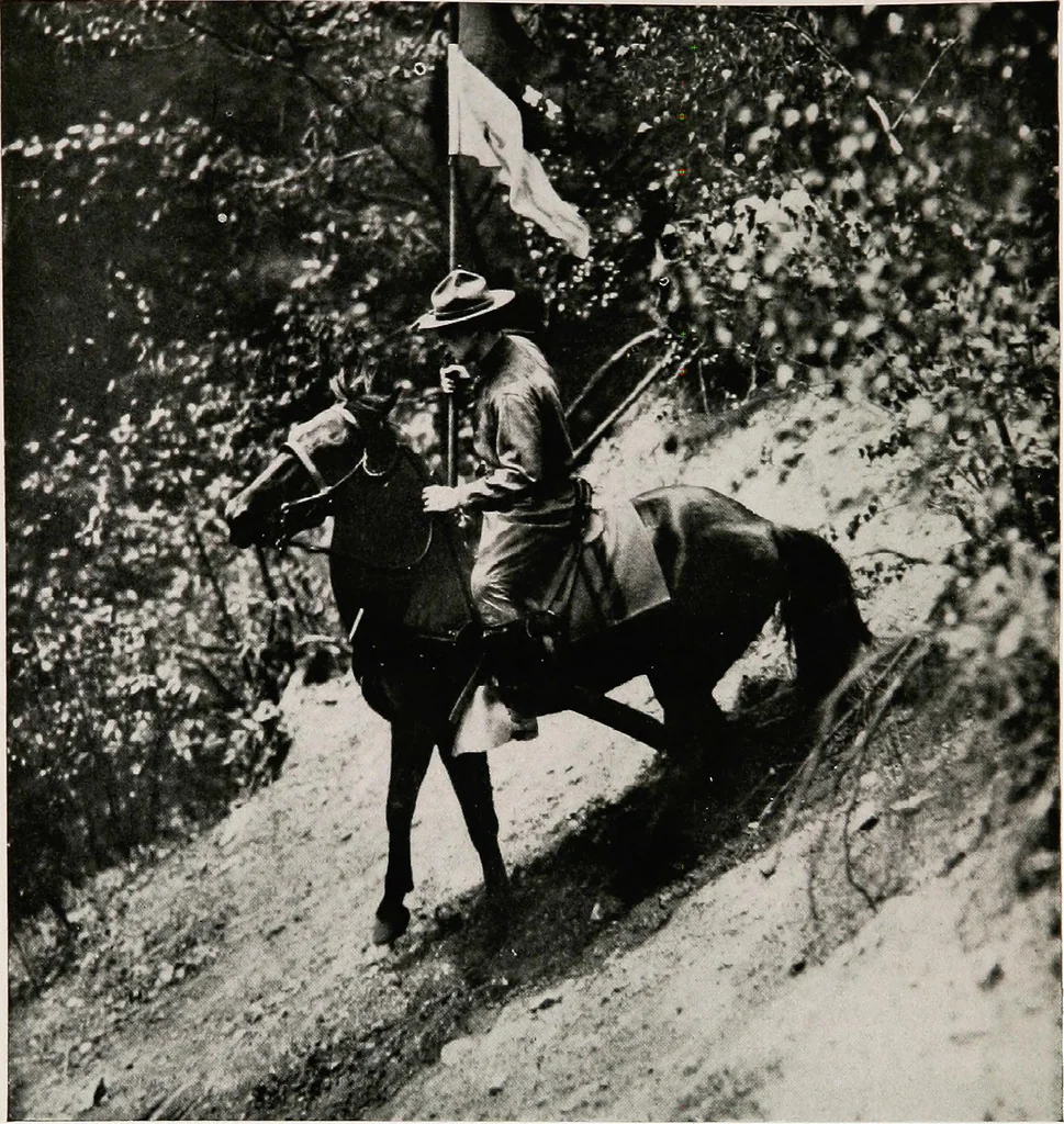An illustration from Flags of the world, 1917, leaf 25