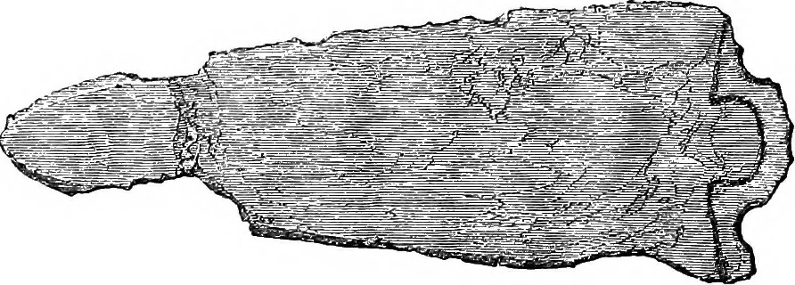 An illustration from The past in the present: what is civilisation?, 1880, leaf 111